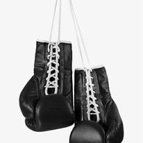 Muay Thai Boxing gloves